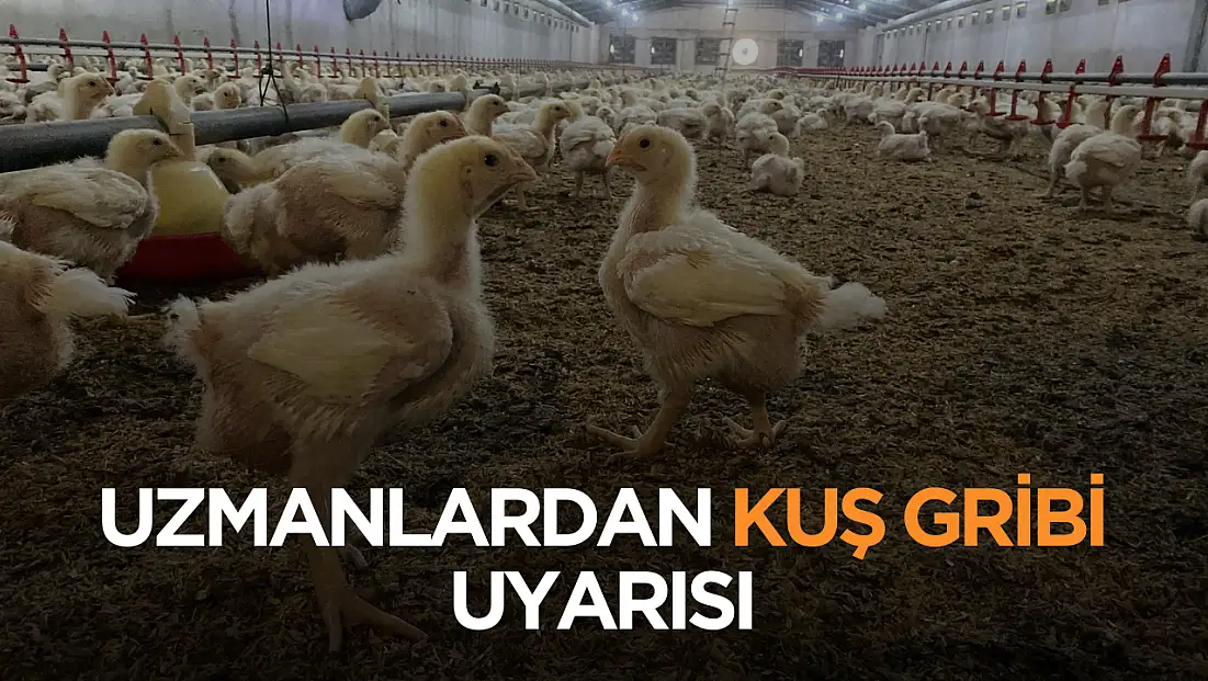 Uzmanlardan kuş gribi uyarısı