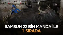 Samsun 22 bin manda ile 1. sırada